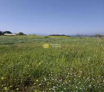 Οικιστικό 5303τ.μ. προς ενοικίαση φωτογραφία 1