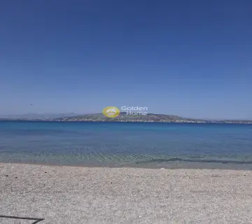Οικιστικό 5303τ.μ. προς ενοικίαση φωτογραφία 2