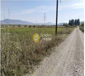 Parcel 4463m<sup>2</sup> for sale photo 4741019