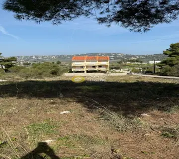 Οικιστικό 1153τ.μ. προς πώληση φωτογραφία 4745719