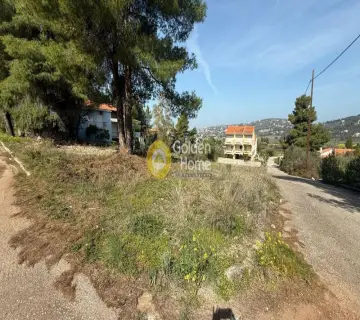 Οικιστικό 1153τ.μ. προς πώληση φωτογραφία 4745723