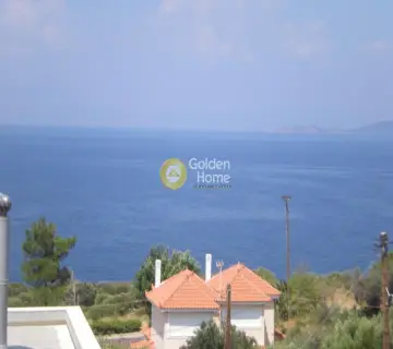 Μονοκατοικία 256τ.μ. προς πώληση φωτογραφία 1