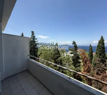 Μονοκατοικία 256τ.μ. προς πώληση φωτογραφία 2