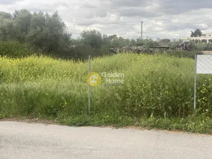 Residential 870m<sup>2</sup> for sale photo 2