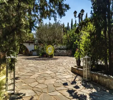 Οικιστικό 7800τ.μ. προς πώληση φωτογραφία 4