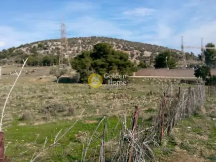 Parcel 2000m<sup>2</sup> for sale photo 3