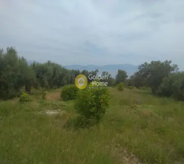 Residential 2150m<sup>2</sup> for sale photo 2