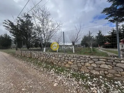 Hotel 643m<sup>2</sup> for sale photo 4772296