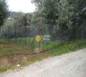 Parcel 1136m<sup>2</sup> for sale photo 2