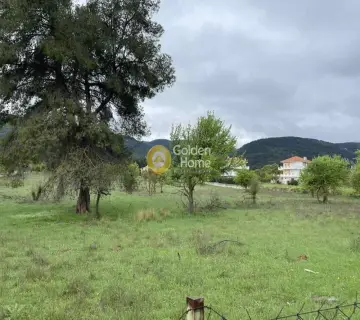 Επαγγελ. Οικόπεδο 12312τ.μ. προς πώληση φωτογραφία 3