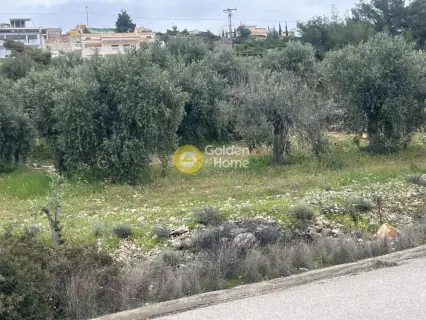 Residential 3400m<sup>2</sup> for sale photo 4756230