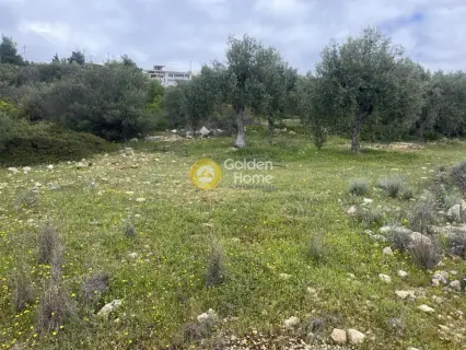 Residential 3400m<sup>2</sup> for sale photo 4756225