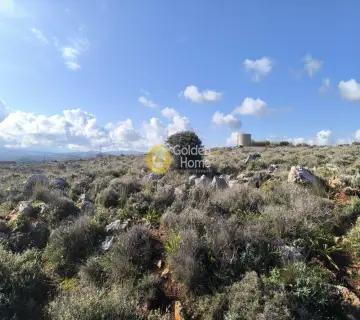 Residential 7000m<sup>2</sup> for sale photo 5
