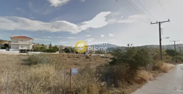 Residential 800m<sup>2</sup> for sale photo 5