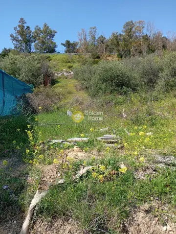 Residential 1700m<sup>2</sup> for sale photo 4763034