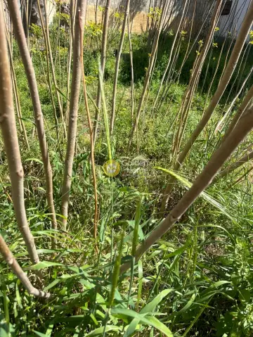 Οικιστικό 173τ.μ. προς πώληση φωτογραφία 1