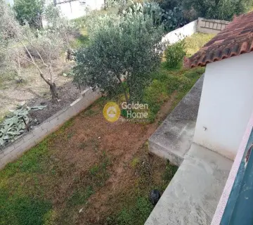 Μονοκατοικία 300τ.μ. προς πώληση φωτογραφία 4776443