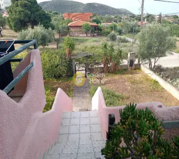 Μονοκατοικία 300τ.μ. προς πώληση φωτογραφία 4776442