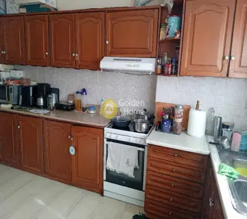 Μονοκατοικία 300τ.μ. προς πώληση φωτογραφία 4776433