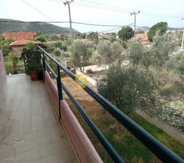 Μονοκατοικία 300τ.μ. προς πώληση φωτογραφία 4776437
