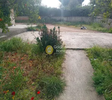 Μονοκατοικία 300τ.μ. προς πώληση φωτογραφία 4776446