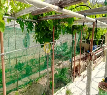 Μονοκατοικία 183τ.μ. προς πώληση φωτογραφία 10