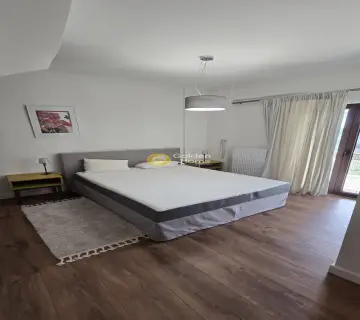 独立复式小屋 170m<sup>2</sup> for rent photo 4779848