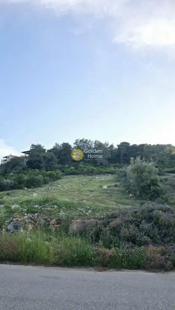 Οικιστικό 1092τ.μ. προς πώληση φωτογραφία 4784717