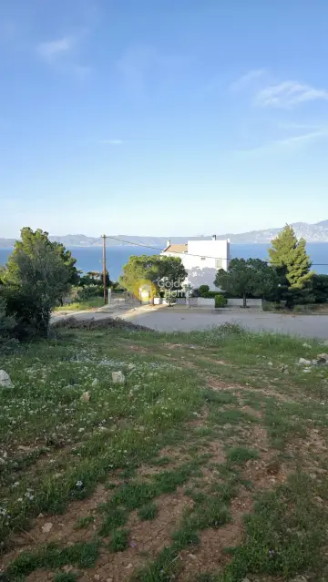 Οικιστικό 1092τ.μ. προς πώληση φωτογραφία 4784718