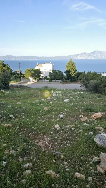 Οικιστικό 1092τ.μ. προς πώληση φωτογραφία 4784720