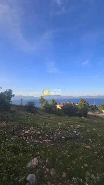Οικιστικό 1092τ.μ. προς πώληση φωτογραφία 4784725