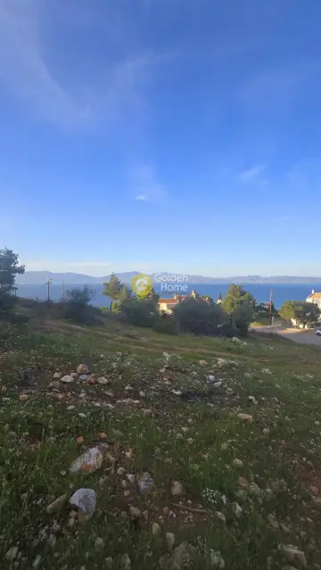 Οικιστικό 1092τ.μ. προς πώληση φωτογραφία 4784726