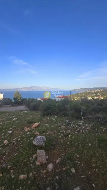 Οικιστικό 1092τ.μ. προς πώληση φωτογραφία 4784730