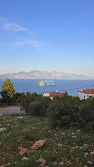 Οικιστικό 1092τ.μ. προς πώληση φωτογραφία 4784731