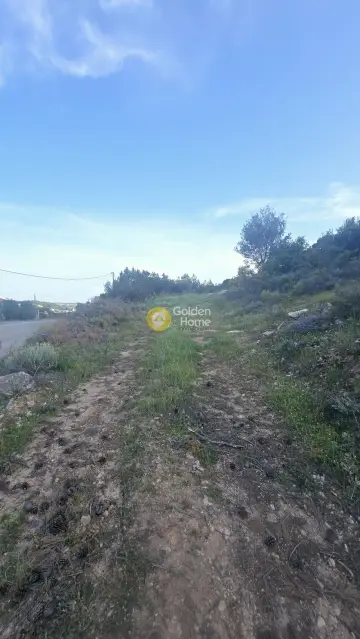 Οικιστικό 1092τ.μ. προς πώληση φωτογραφία 4784734