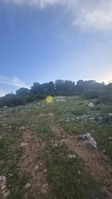 Οικιστικό 1092τ.μ. προς πώληση φωτογραφία 4784735