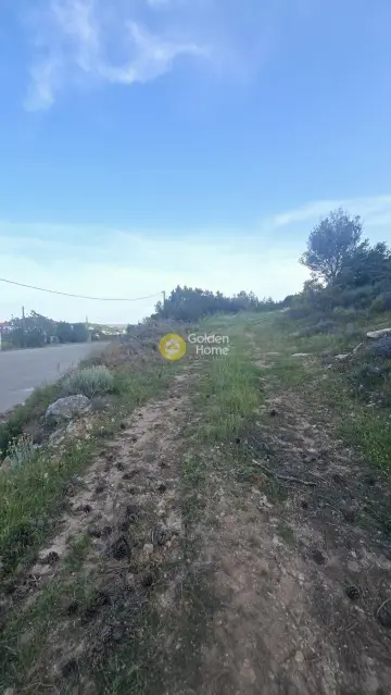 Οικιστικό 1092τ.μ. προς πώληση φωτογραφία 4784740