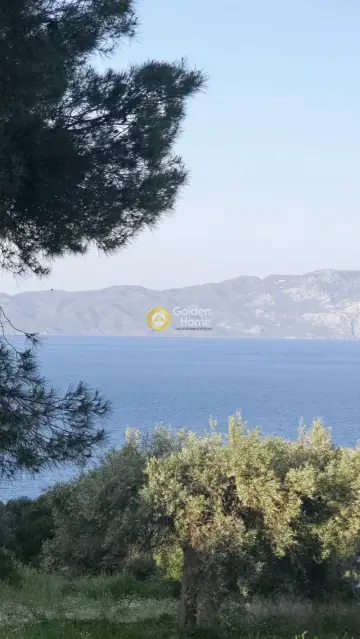 Οικιστικό 1092τ.μ. προς πώληση φωτογραφία 4784741
