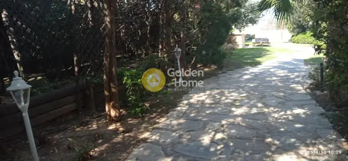 Μονοκατοικία 125τ.μ. προς ενοικίαση φωτογραφία 7