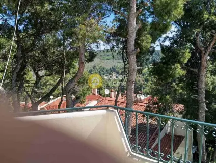 Μονοκατοικία 271τ.μ. προς πώληση φωτογραφία 12