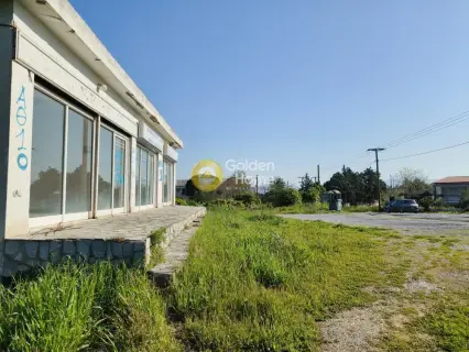 店铺 50m<sup>2</sup> for rent photo 3