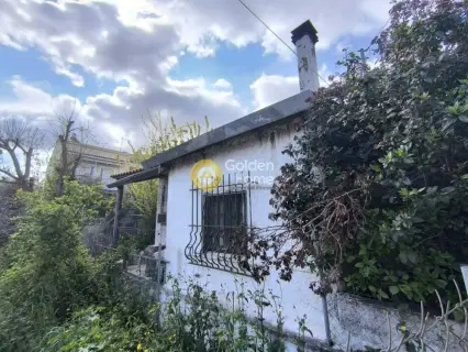 Residential 220m<sup>2</sup> for sale photo 10
