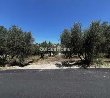 Residential 462m<sup>2</sup> for sale photo 4829763