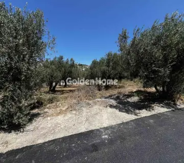 Residential 462m<sup>2</sup> for sale photo 4829764