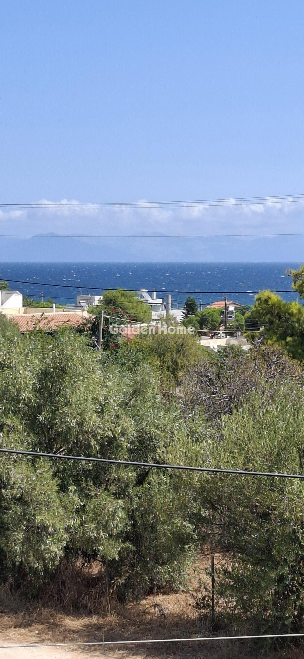 house in Artemida (Loutsa) — Photo 19 of 21