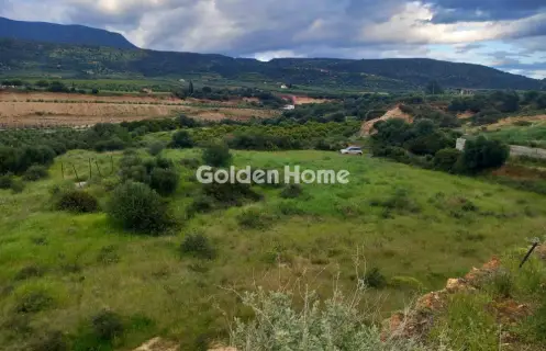 Parcel 9000m<sup>2</sup> for sale photo 9