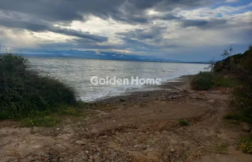 Parcel 9000m<sup>2</sup> for sale photo 7