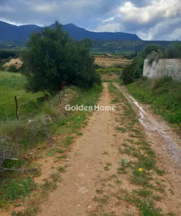 Parcel 9000m<sup>2</sup> for sale photo 5