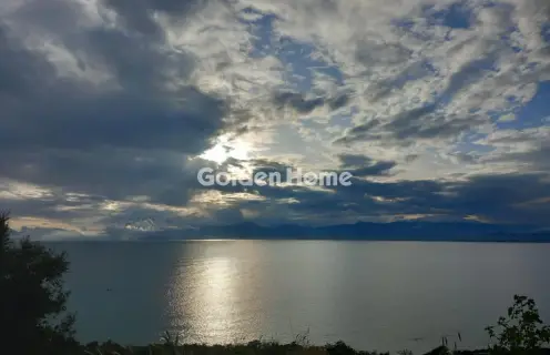 Parcel 9000m<sup>2</sup> for sale photo 11