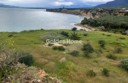 Parcel 9000m<sup>2</sup> for sale photo 14